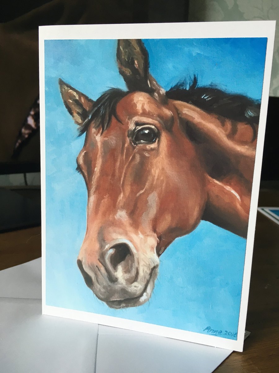 Horse Greetings Card - Blank Inside High Quality Print