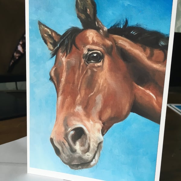 Horse Greetings Card - Blank Inside High Quality Print