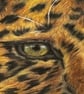 Original Amur Leopard Colour Pencil Drawing – A3 Wildlife Art - Image 5