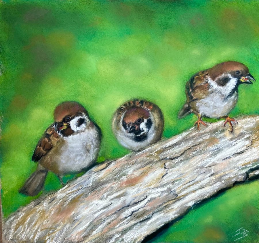 Top quality giclee print of 'Log Jam a sparrow painting by artist Janet Bird