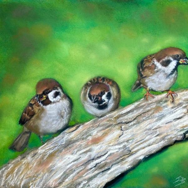 Top quality giclee print of 'Log Jam a sparrow painting by artist Janet Bird