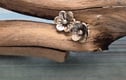 Stud Earrings