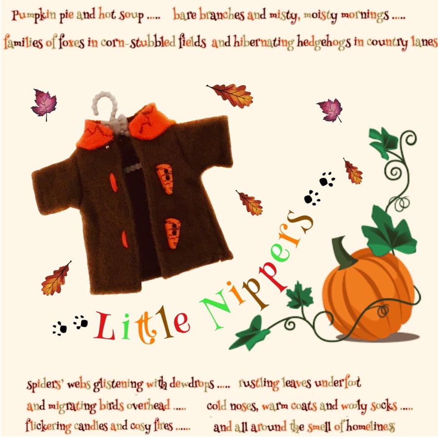 Reserved for Sue - Little Nippers’ Carroty Coat