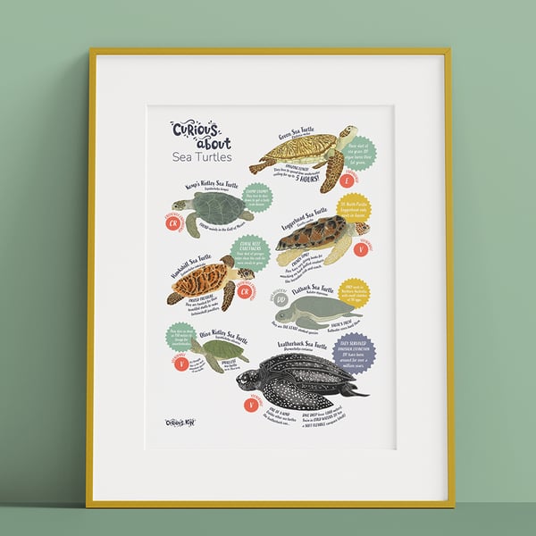 Curious about sea turtles A4 educational poster