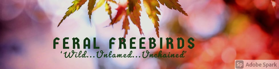 Feral Freebirds