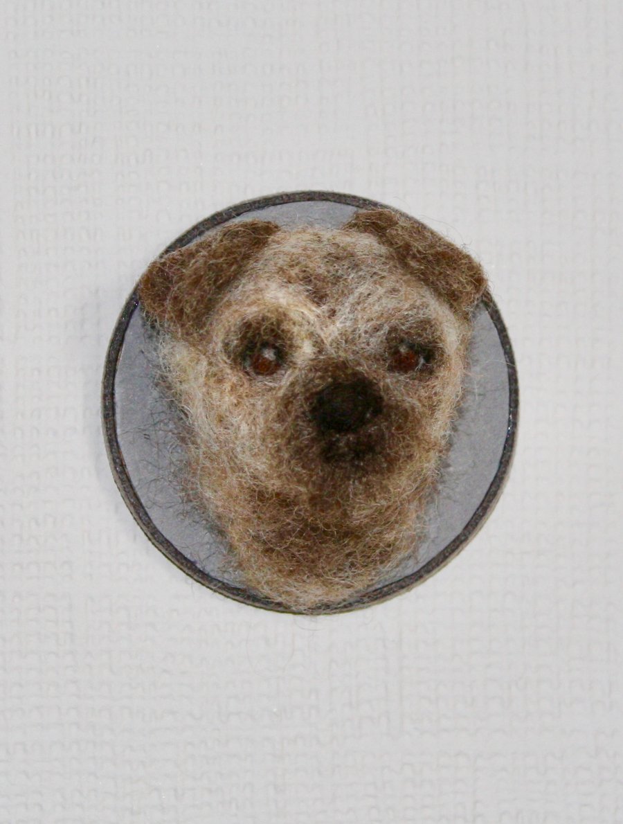 Bashful Border Terrier wall art