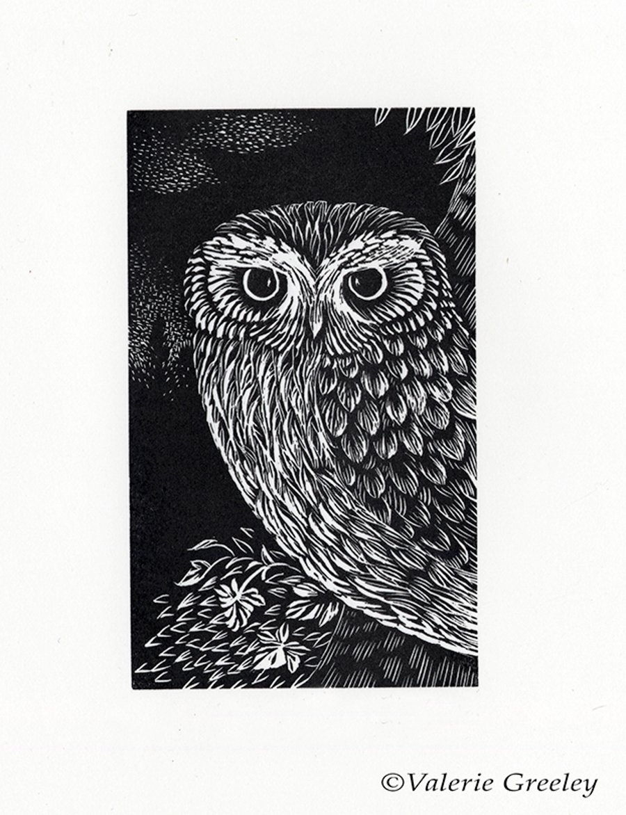 "Little Owl" wood engraved print by Valerie Greeley