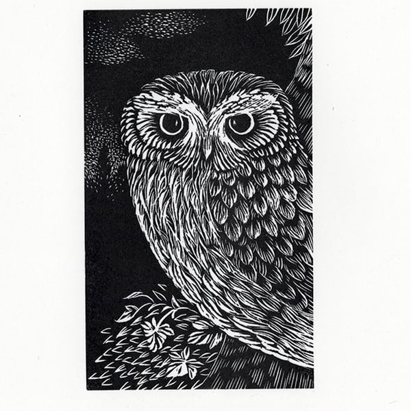 "Little Owl" wood engraved print by Valerie Greeley