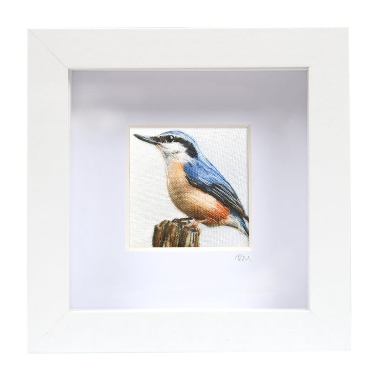 Nuthatch, little 3D fabric nuthatch picture framed, nuthatch gift