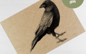 Crow prints