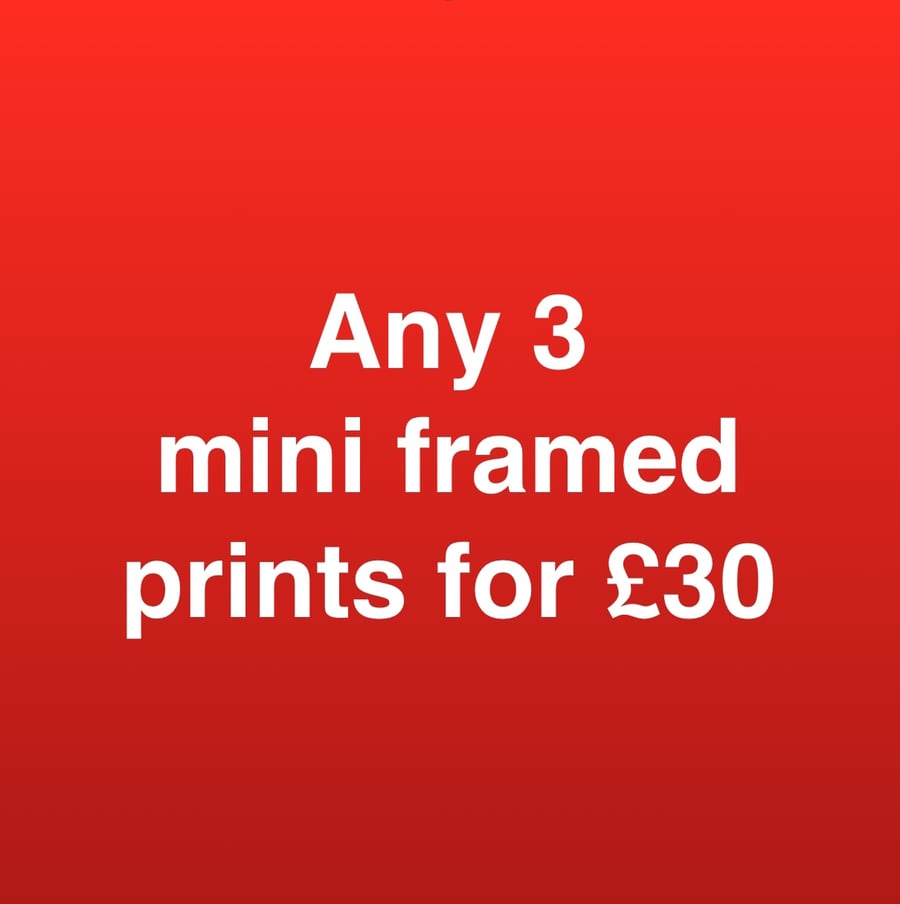 ANY 3 MINI FRAMED PRINTS FOR THIRTY POUNDS