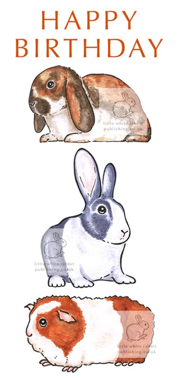 Two Bunnies & a Guinea Pig - Birthday Card