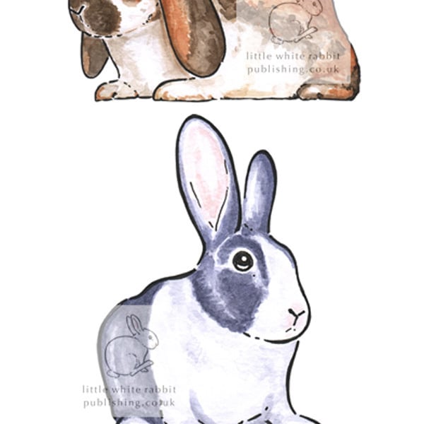 Two Bunnies & a Guinea Pig - Birthday Card