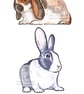 Two Bunnies & a Guinea Pig - Birthday Card - Image 1