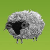 Sheepish designs UK
