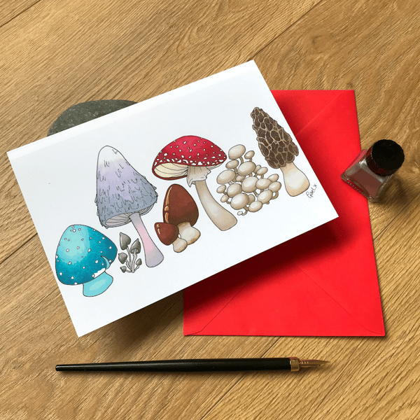 Mushrooms & Toadstools