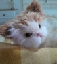 Persian Kitten, dotpebblesknits design, Knitted Cat  - Image 7