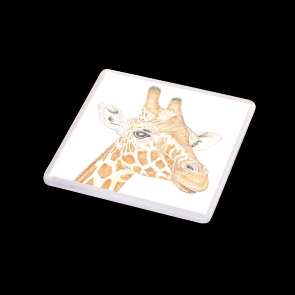 Giraffe - Coaster