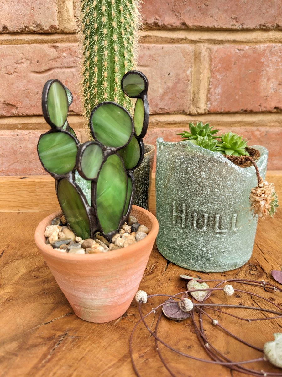 Stained Glass Cactus Succulent in Terracotta Pot, Plant Your Own Succulent Kit