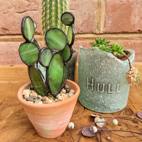 Stained Glass Cactus Succulent in Terracotta Pot, Plant Your Own Succulent Kit