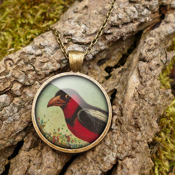 Disapproving Bird Large Necklace (TB09)