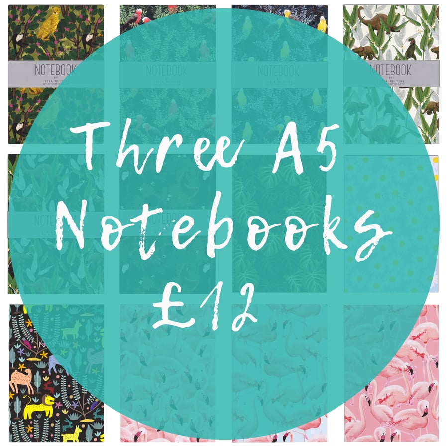 Offer! Three A5 Notebooks