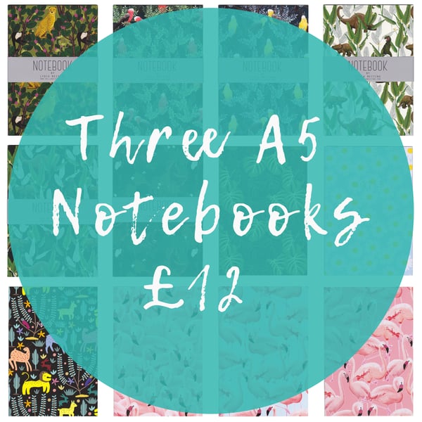 Offer! Three A5 Notebooks