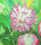 Clover - Image 3