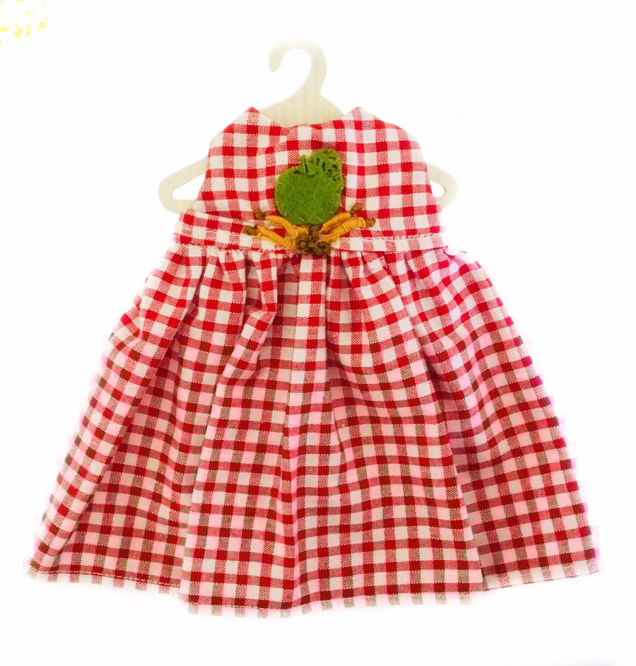 Reduced - Apple Harvest Dress