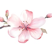 Carolee.Crafts 