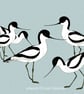 Avocets - bird art print - Image 1