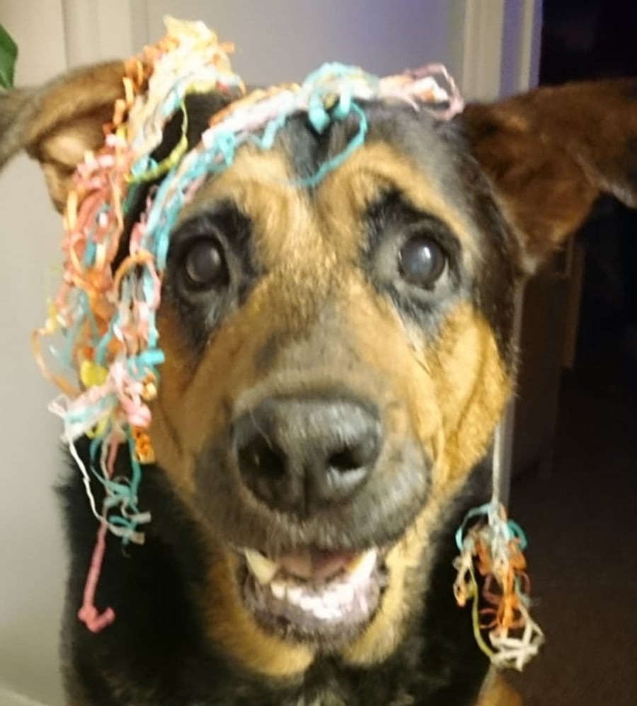Sheba's Corner Crafts
