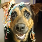 Sheba's Corner Crafts
