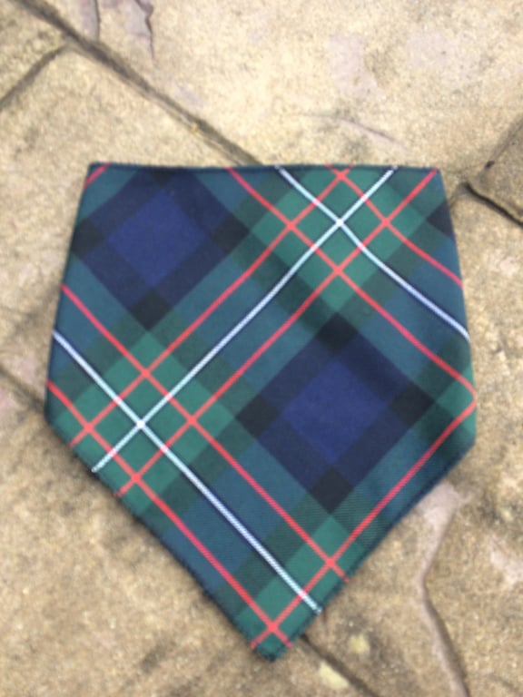 Bandana Bib Ferguson Tartan, babies, children