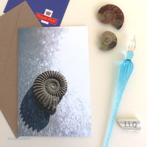 Ammonite blank greeting card notecard fossil spiral photograph cello free