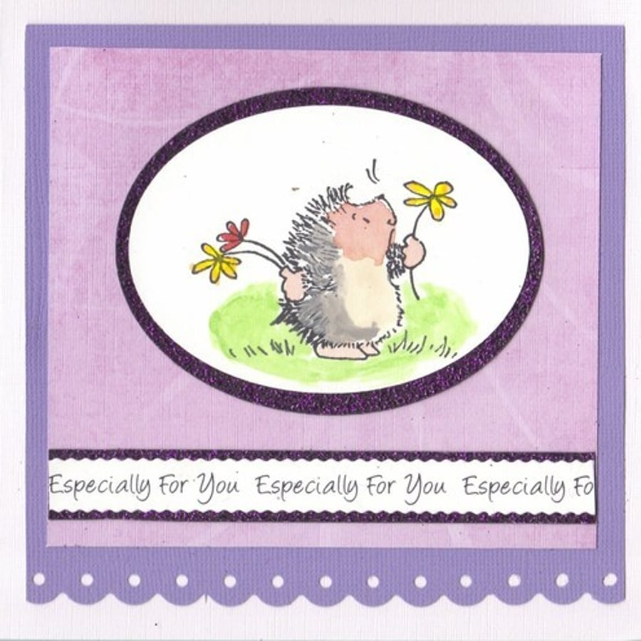 Hedgehog Delight (EFY086 and EFY105)