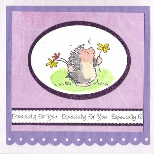 Hedgehog Delight (EFY086 and EFY105)