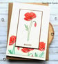 Blank Red Poppy Card - textured, embossed, all occasions, birthday, remembrance - Image 7