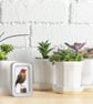 Robin, little 3D fabric robin picture framed in a tin, gift, ornament - Image 5