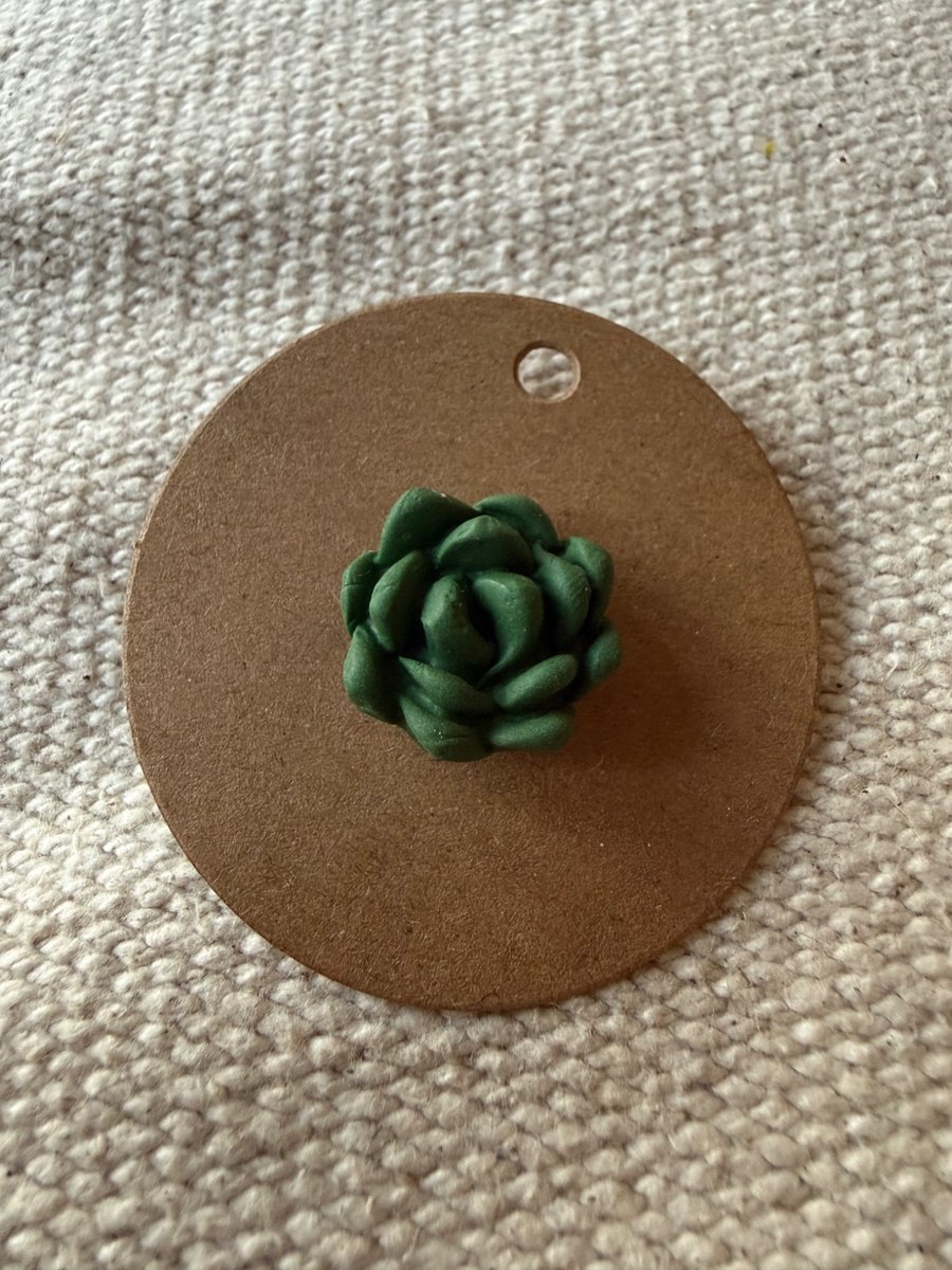 Round succulent polymer clay pin badge 
