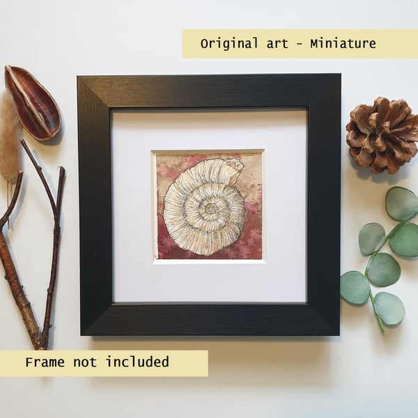 Little ammonite fossil original art miniature, artwork, tiny painting