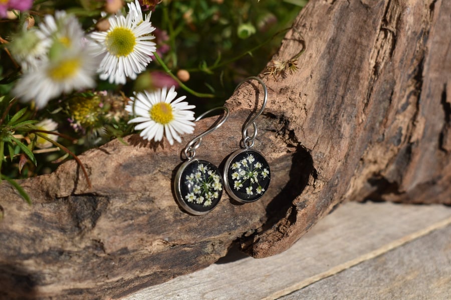 Pressed Cow Parsley Flower Resin Earrings, 304 Stainless Steel, Made in Scotland