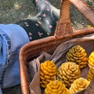 Beeswax Natural Pinecone Autumn Candle