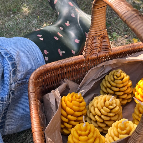 Beeswax Natural Pinecone Autumn Candle