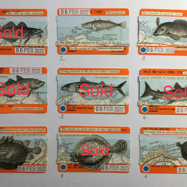 Fish ticket