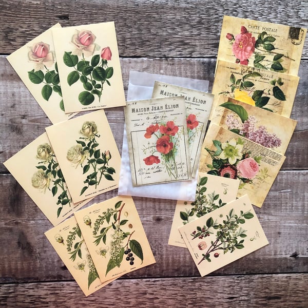 Botanical themed journal cards