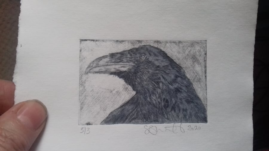 Cute little raven drypoint etching with watercolour