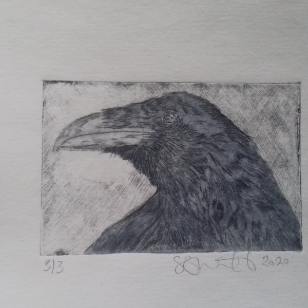 Cute little raven drypoint etching with watercolour