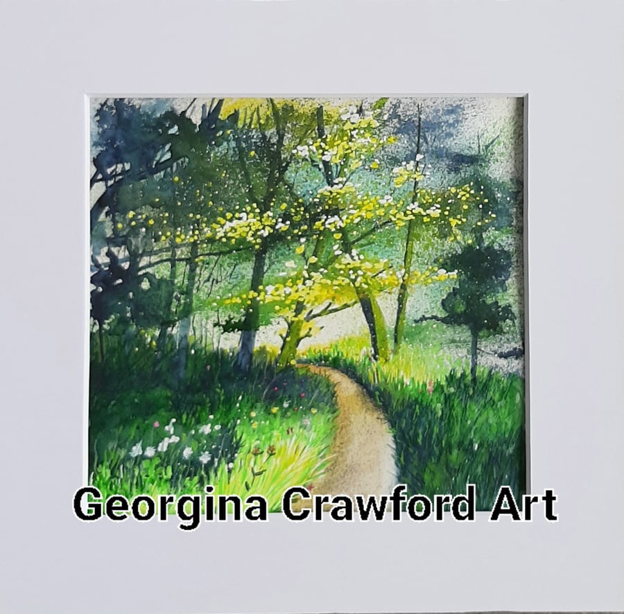 Watercolour Painting. The Green Path.  Nature. Gift for Him, For Her