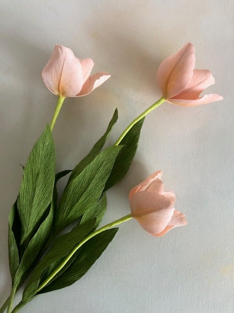 Three paper tulips